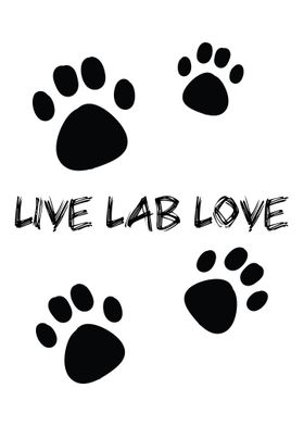 Life Lab Love