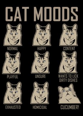 All Cat Moods