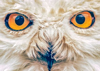 Painting Of Owl Eyes