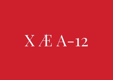 X  A12