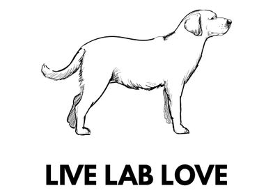 Life Lab Love