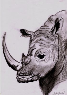 the great rhino