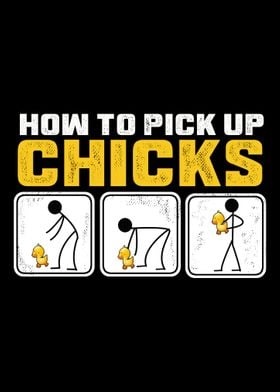 How to pick up chicks