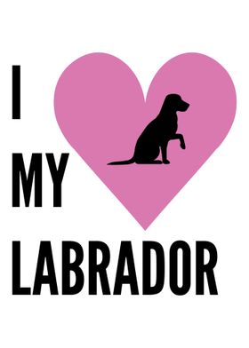 I love my Labrador