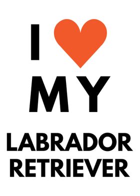 I love my Labrador Retriev