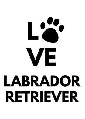 Labrador retriever