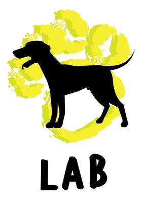 Lab