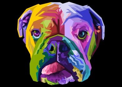 colorful engglish bulldog