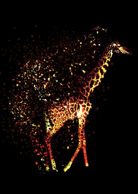 Giraffe Dispersion