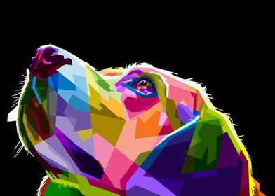 Colorful dog head pop art