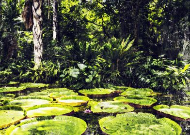 Lush Amazon river