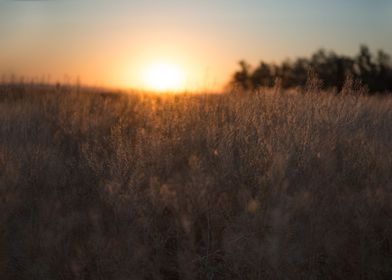 Calm of country on sunset