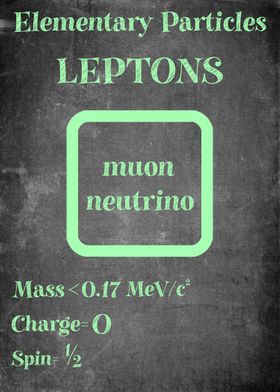 Muon Lepton Particle
