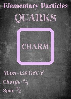 Charm Quark Particle