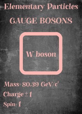 W Boson Gauge Particle
