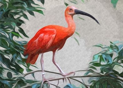 Scarlet Ibis on a Tree