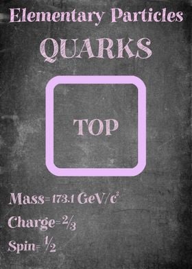 Top Quark Particle