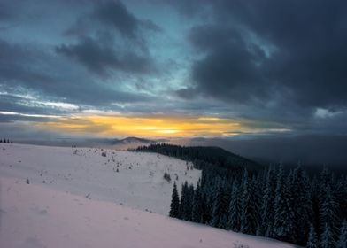 Winter Landscape