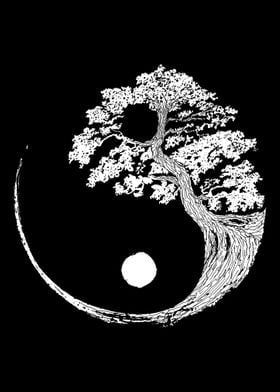 Yin Yang Bonsai Tree Japan