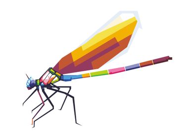 colorful dragonfly WPAP 