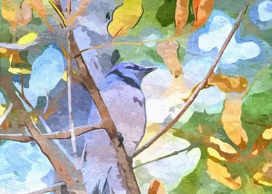 Blue Jay in a Tree
