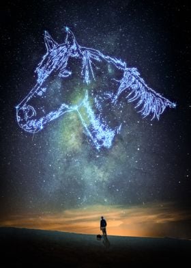 Horse Constellation