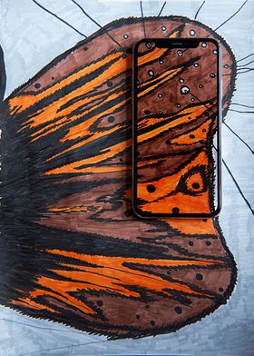 Butterfly Wing