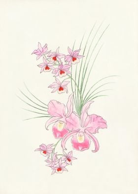 Pink Cattleya & Dendrobium