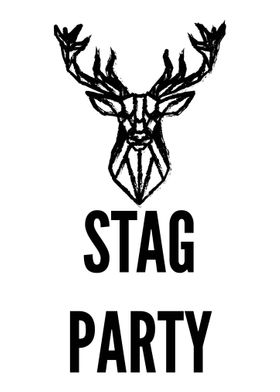 Rocking Stag Party  Bache