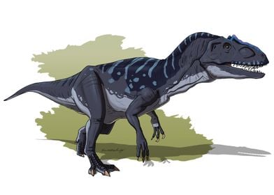 Allosaurus