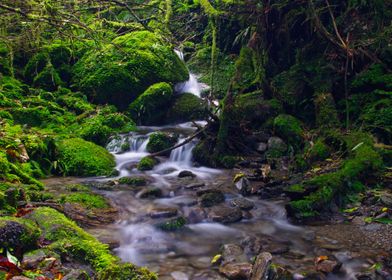 Waterfall Callery Gorge