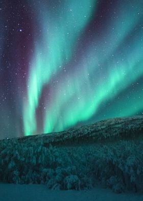 Aurora Northern Lights