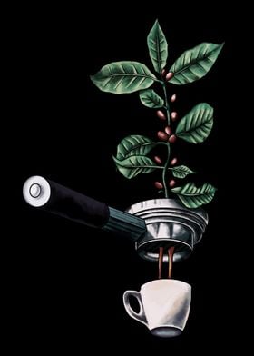 Coffee Plant Espresso