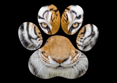 Tiger Eyes Paw Animal Cat 