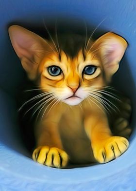 Abyssinian Kitty