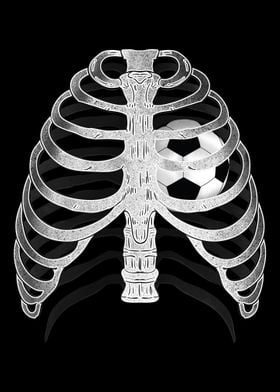 Skeleton Xray Ribcage Soc