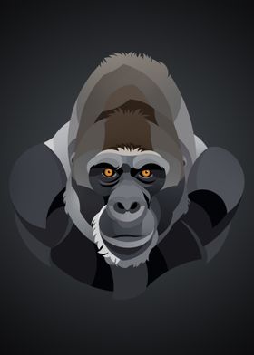 Gorilla Illustration