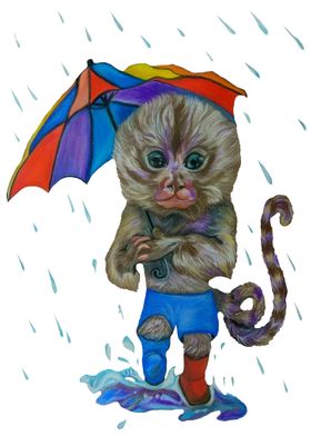 Pygmy Marmoset in the Rain