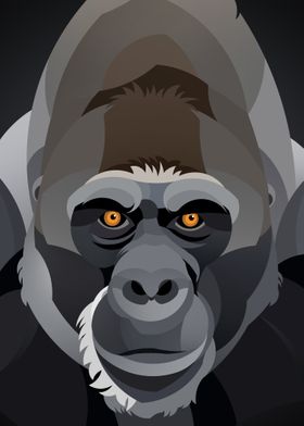 Gorilla Illustration