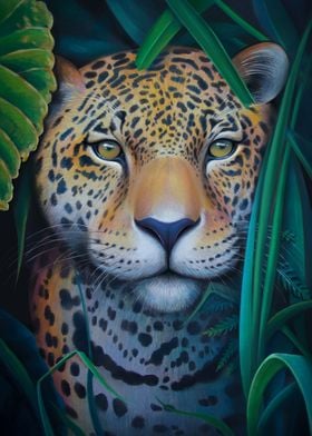 Portrait Jaguar  