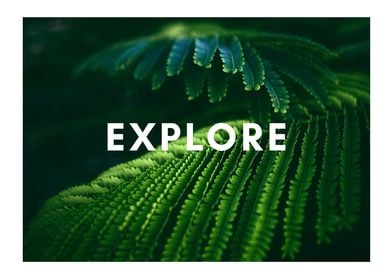 explore