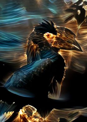 Dark Hornbill