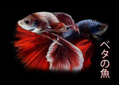 Betta Fish Couple