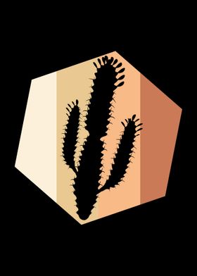 Cactus Desert Cactuses