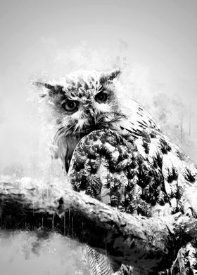 Owl Looking BW