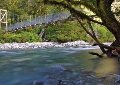 Milford Track