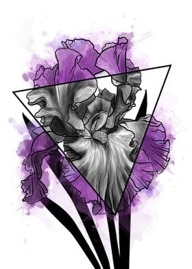 Iris Prism