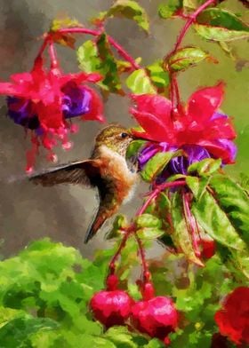 Hummingbird And Flower