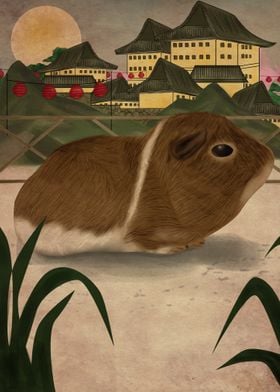 Guinea Pig in Japan