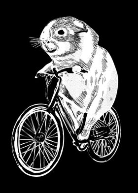 Guinea Pig Bicycle